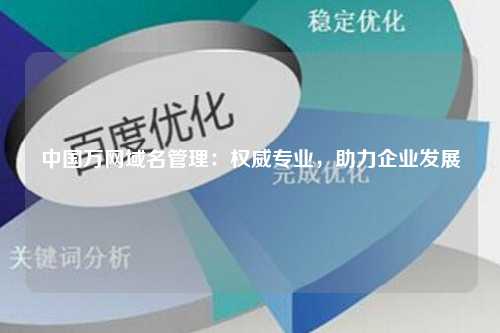 中国万网域名管理：权威专业，助力企业发展