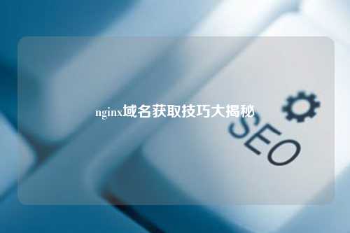 nginx域名获取技巧大揭秘