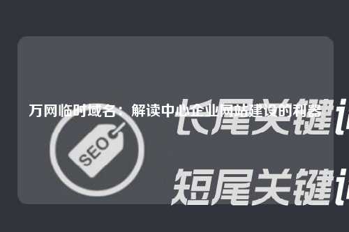 万网临时域名：解读中心企业网站建设的利器