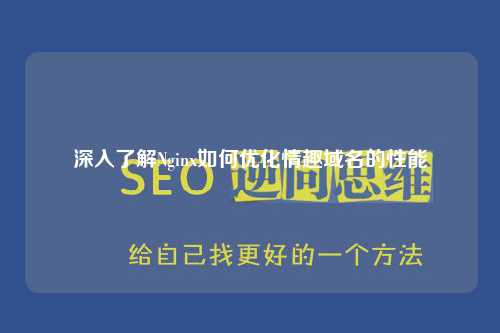 深入了解Nginx如何优化情趣域名的性能